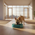 RidgeFlow slow feeder dog bowl with raised ridge maze pattern to slow eating and reduce bloat