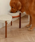 Golden retriever eating from the HearthFlow bowl on its raised stand